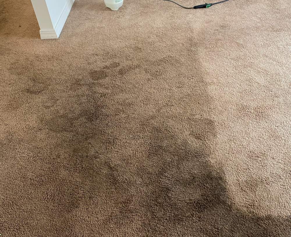 Eliminate Filtration Lines on Carpets AmeriClean