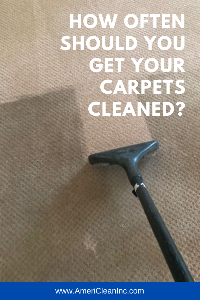 how-often-should-you-get-your-carpets-cleaned-americlean