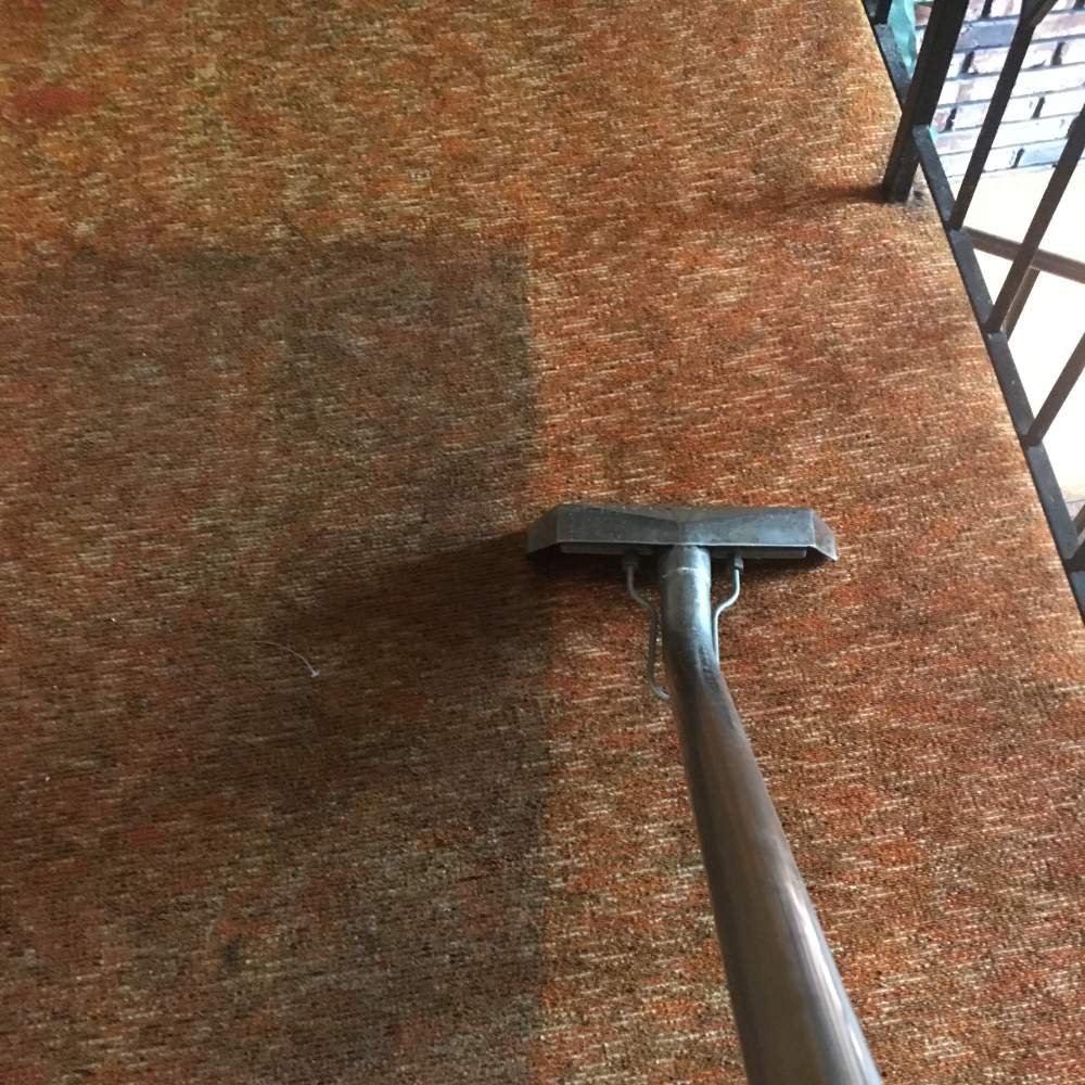 Is It Time to Replace the Carpet in Your Home? AmeriClean