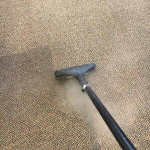 carpet cleaning machine cleaning carpet before and after