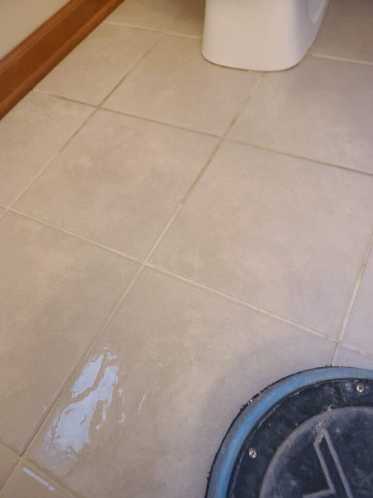 ceramic tile and grout after cleaning