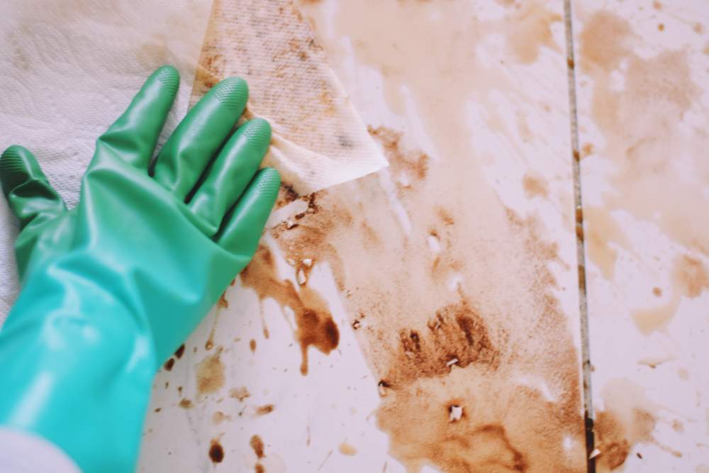 how-to-clean-cooking-grease-from-ceramic-tile-americlean