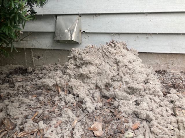 dryer vent with lint
