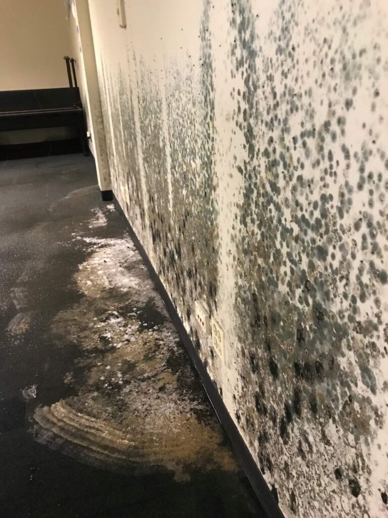 Commercial Mold Remediation in NW Indiana