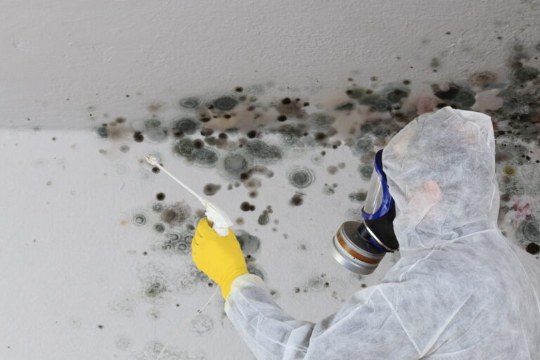professional in hazard suit working to remove mold from wall