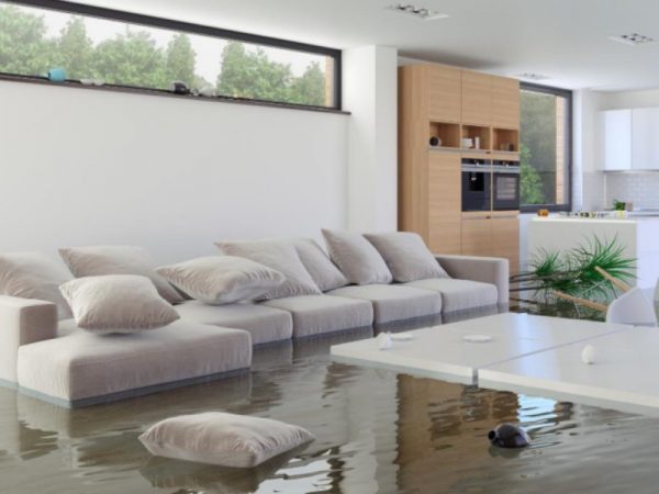 Get an Estimate Before Calling Insurance About Your Flooded Basement