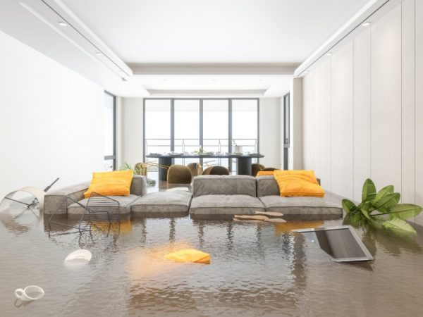 How AmeriClean Restores Your Home with Expert Water Damage Restoration in Northwest Indiana - blog