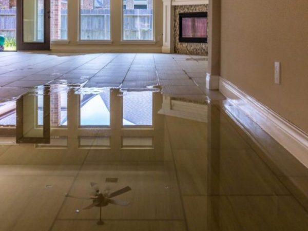 The Hidden Dangers of Ignoring Water Damage - blog