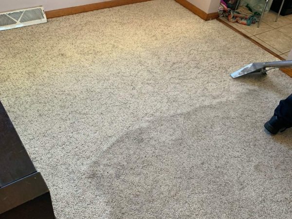 carpet cleaning before and after cleaning