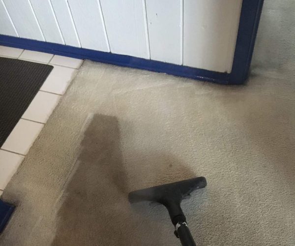carpet cleaner cleaning brown carpet in commercial property