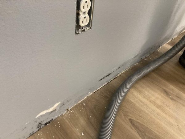 wall with mold remediation