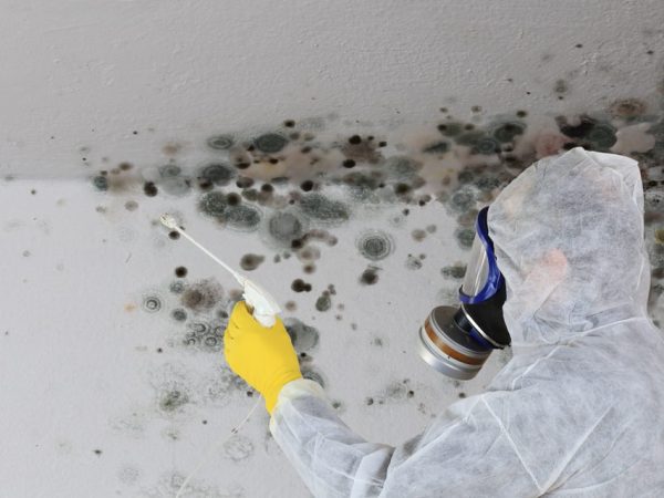 professional in hazard suit working to remove mold from wall