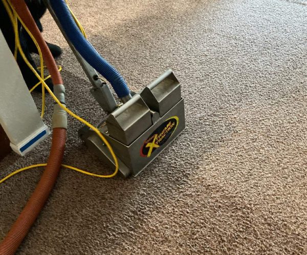 machine extracting water from carpet