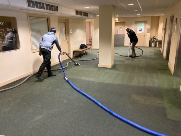 professionals extracting water from carpet in business